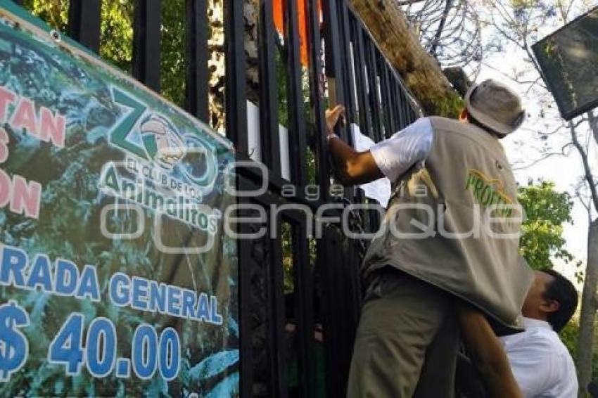 CLUB DE ANIMALITOS .TEHUACÁN