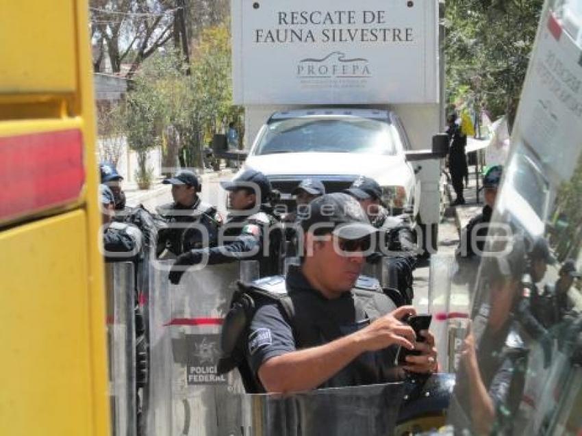 POLICÍA FEDERAL . CLUB DE LOS ANIMALITOS