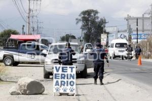 SAN MARTÍN TEXMELUCAN . OPERATIVO