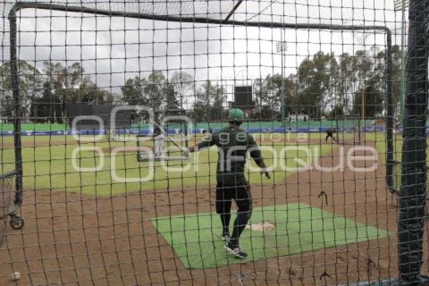 BEISBOL . PERICOS DE PUEBLA