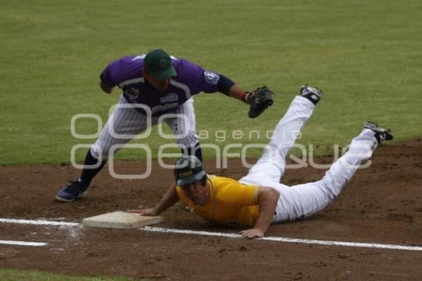 BÉISBOL . PERICOS VS DELFINES