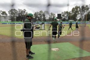 BEISBOL . PERICOS DE PUEBLA