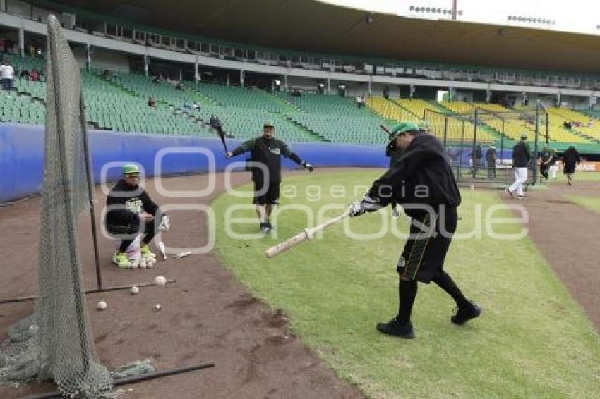 BEISBOL . PERICOS DE PUEBLA