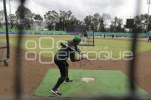 BEISBOL . PERICOS DE PUEBLA