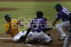 BÉISBOL . PERICOS VS DELFINES