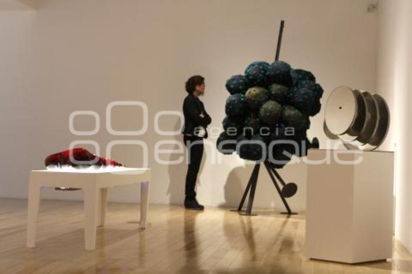 EXPOSICIÓN TERESA SERRANO