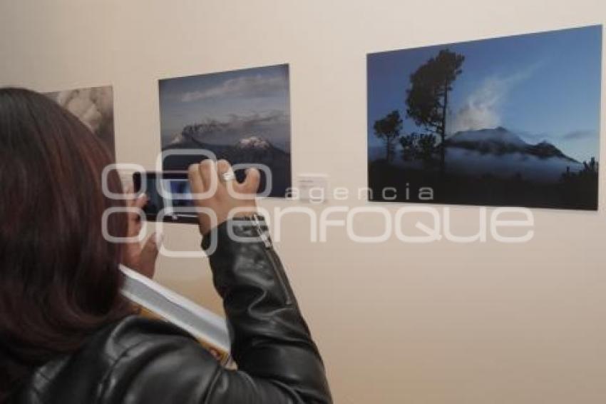 EXPOSICIÓN . MIRADAS AL COLOSO