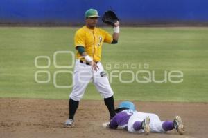 BEISBOL . PERICOS VS DELFINES