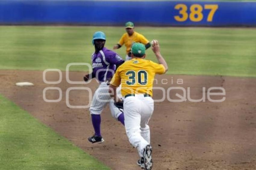 BEISBOL . PERICOS VS DELFINES