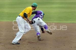 BEISBOL . PERICOS VS DELFINES