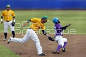 BEISBOL . PERICOS VS DELFINES