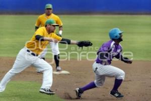 BEISBOL . PERICOS VS DELFINES