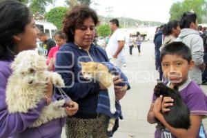 VACUNACION CANINA Y FELINA . TEHUACÁN