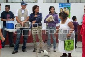 VACUNACION CANINA Y FELINA . TEHUACÁN