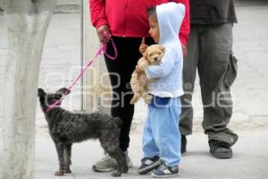 VACUNACION CANINA Y FELINA . TEHUACÁN