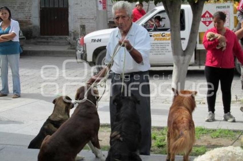 VACUNACION CANINA Y FELINA . TEHUACÁN