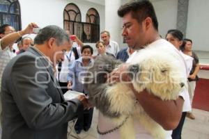 VACUNACION CANINA Y FELINA . TEHUACÁN