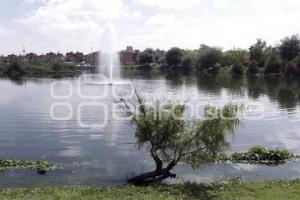 LAGUNA DE CHAPULCO