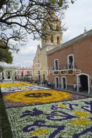 TAPETE FLORAL . ATLIXCO