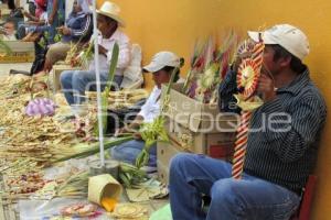 VENTA DE PALMA . TEHUACÁN