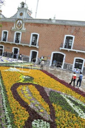 TAPETE FLORAL . ATLIXCO