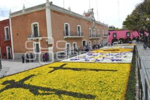 TAPETE FLORAL . ATLIXCO