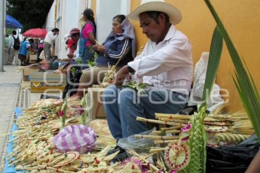 VENTA DE PALMA . TEHUACÁN