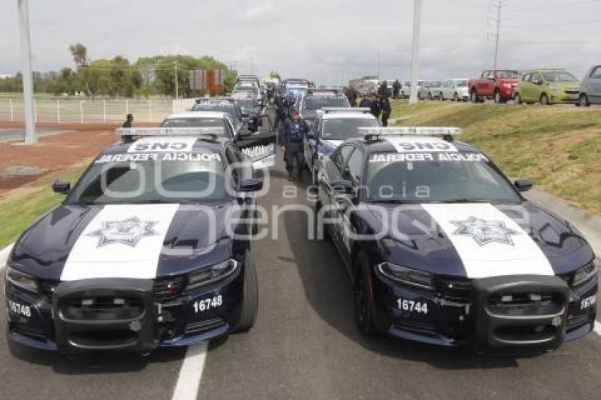 OPERATIVO SEMANA SANTA SEGURA