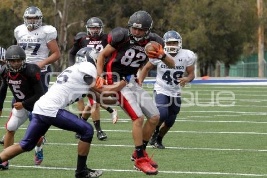 LOBOS VS CHAPINGO . FÚTBOL AMERICANO