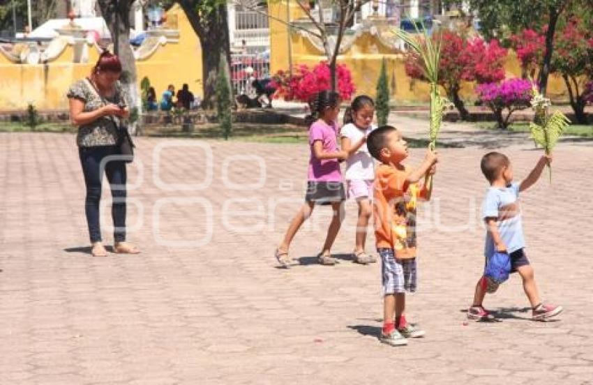 DOMINGO DE RAMOS . ACATLÁN DE OSORIO