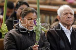 SEMANA SANTA . DOMINGO DE RAMOS