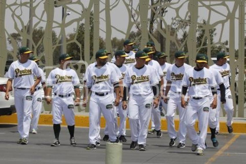 FOTO OFICIAL PERICOS DE PUEBLA