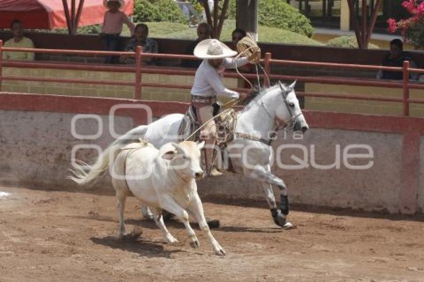 XII CIRCUITO DE CHARRERIA CENTRO-SUR