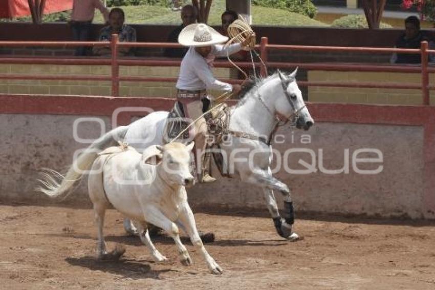 XII CIRCUITO DE CHARRERIA CENTRO-SUR