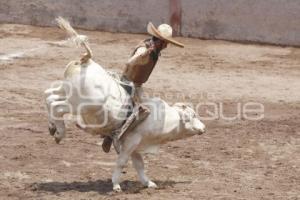 XII CIRCUITO DE CHARRERIA CENTRO-SUR