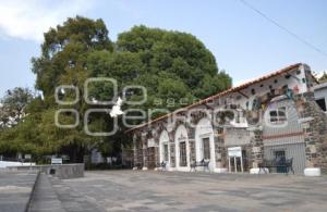 PARQUE DEL AHUEHUETE . ATLIXCO