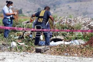 NOTA ROJA . CUERPO EN PLAYAS DEL SUR