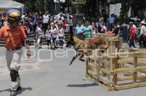 DÍA INTERNACIONAL DEL PERRO DE RESCATE