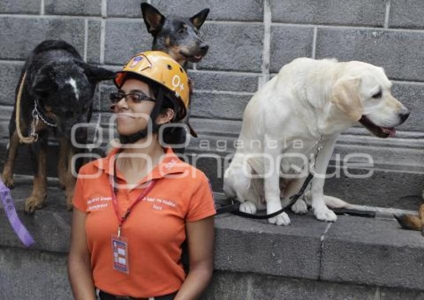 DÍA INTERNACIONAL DEL PERRO DE RESCATE