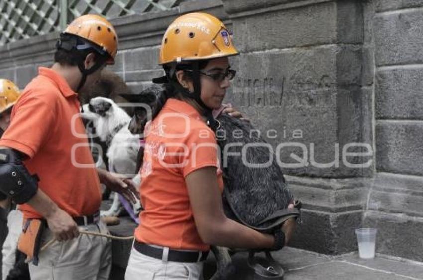 DÍA INTERNACIONAL DEL PERRO DE RESCATE