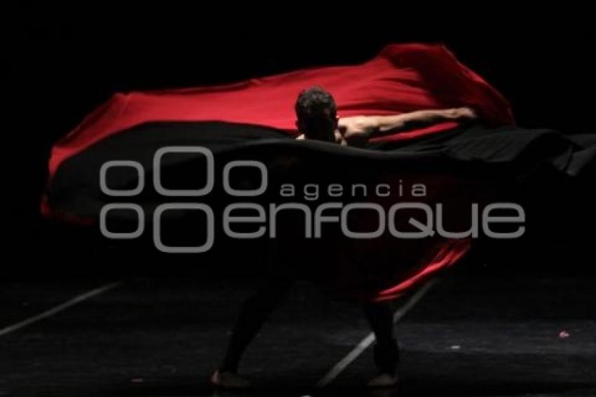 DÍA INTERNACIONAL DE LA DANZA