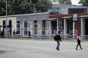 PREPARATIVOS 5 DE MAYO