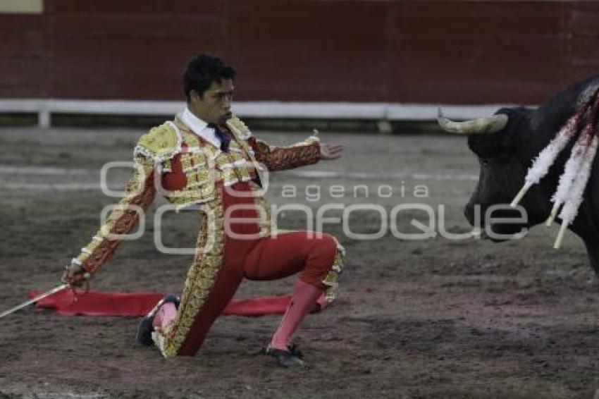 TORERO SERGIO FLORES