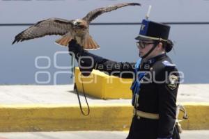 DESFILE 5 DE MAYO