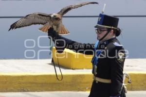 DESFILE 5 DE MAYO