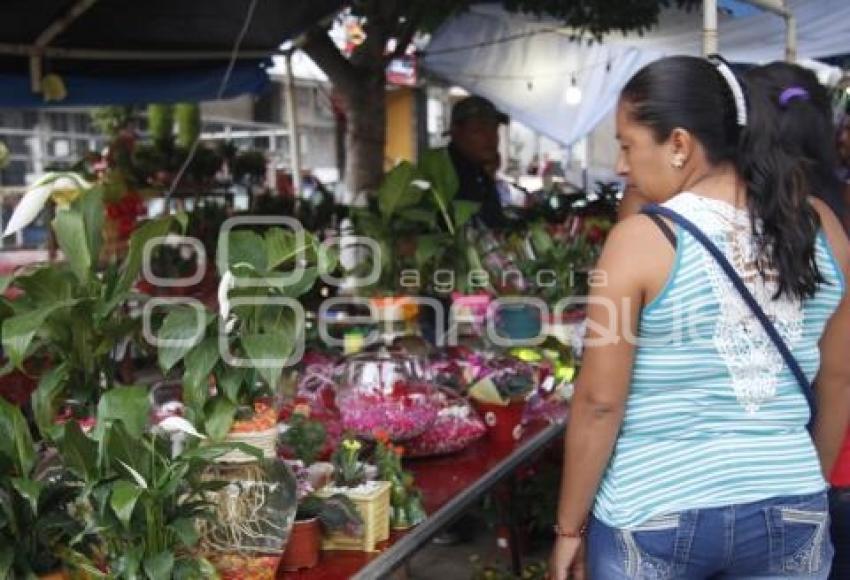 VENTAS 10 DE MAYO . ACATLÁN