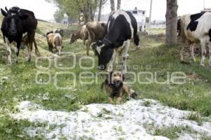 TEXMELUCAN . GRANIZO