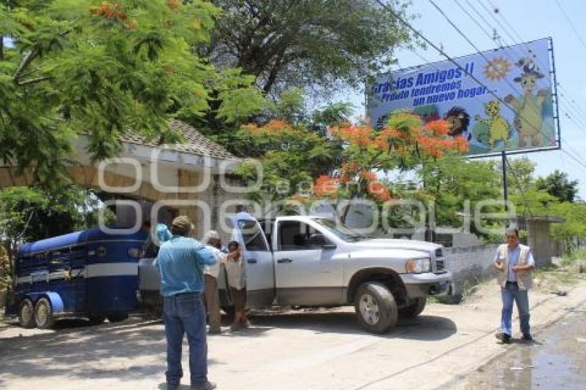 TRASLADO ANIMALES . TEHUACÁN