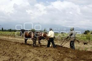 SAN SALVADOR EL VERDE . CAMPESINOS