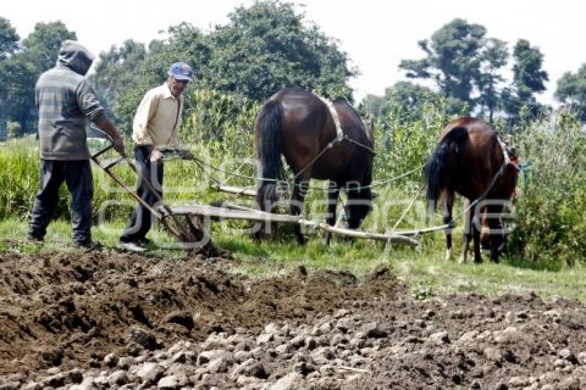 SAN SALVADOR EL VERDE . CAMPESINOS